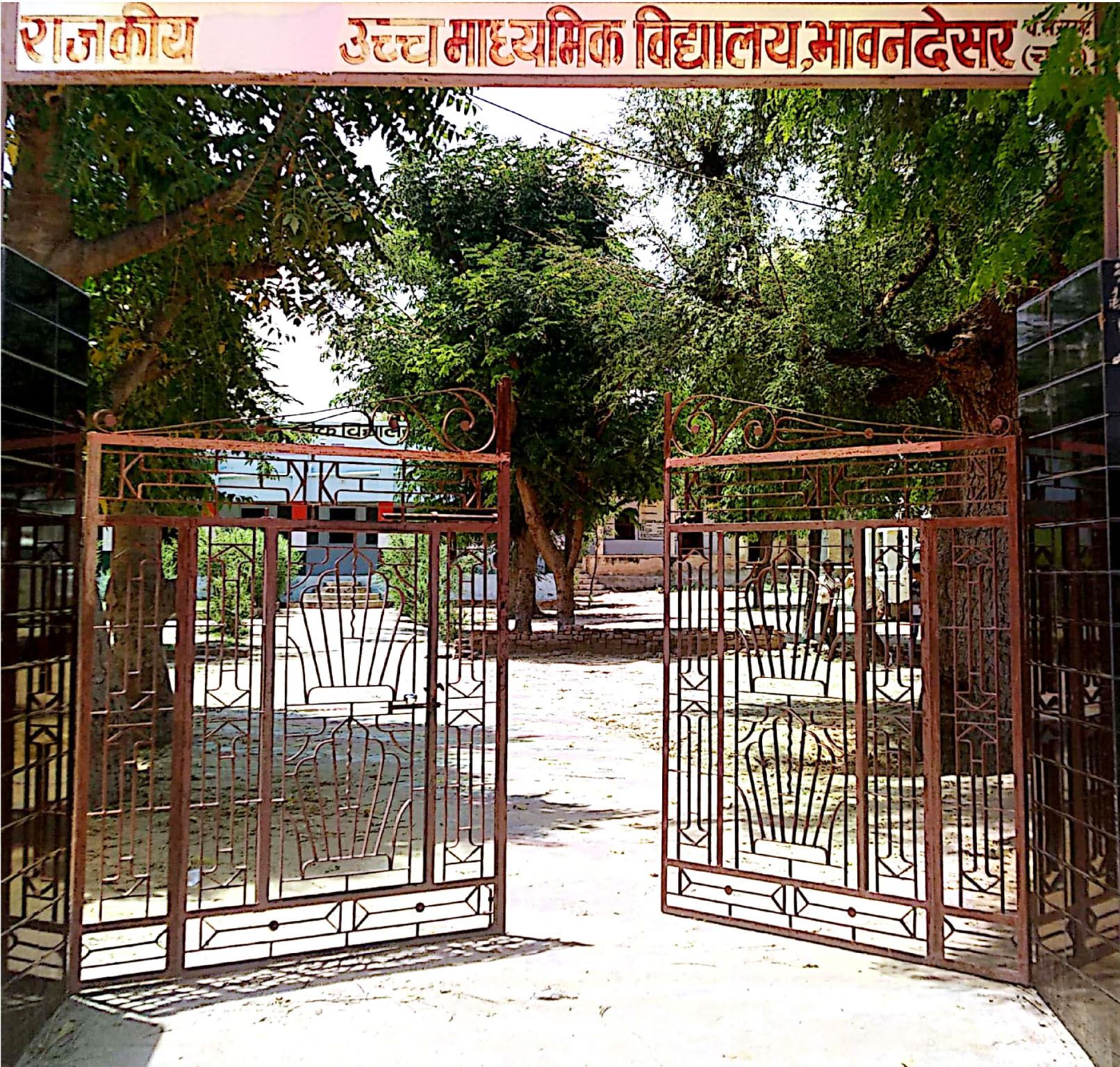  GOVT. SR. SEC. SCHOOL, BHAVANDESAR (RATANGARH) CHURU  (08040601901)