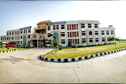 Maharaja Surajmal Brij University, Bharatpur